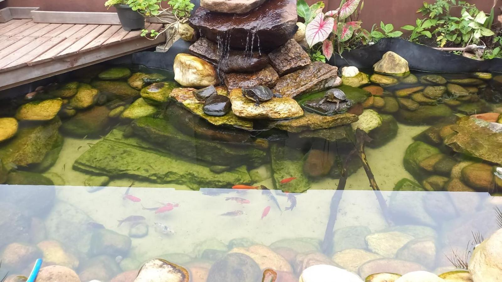 Pousada Vo Lica Com Piscina เปงญา ภายนอก รูปภาพ